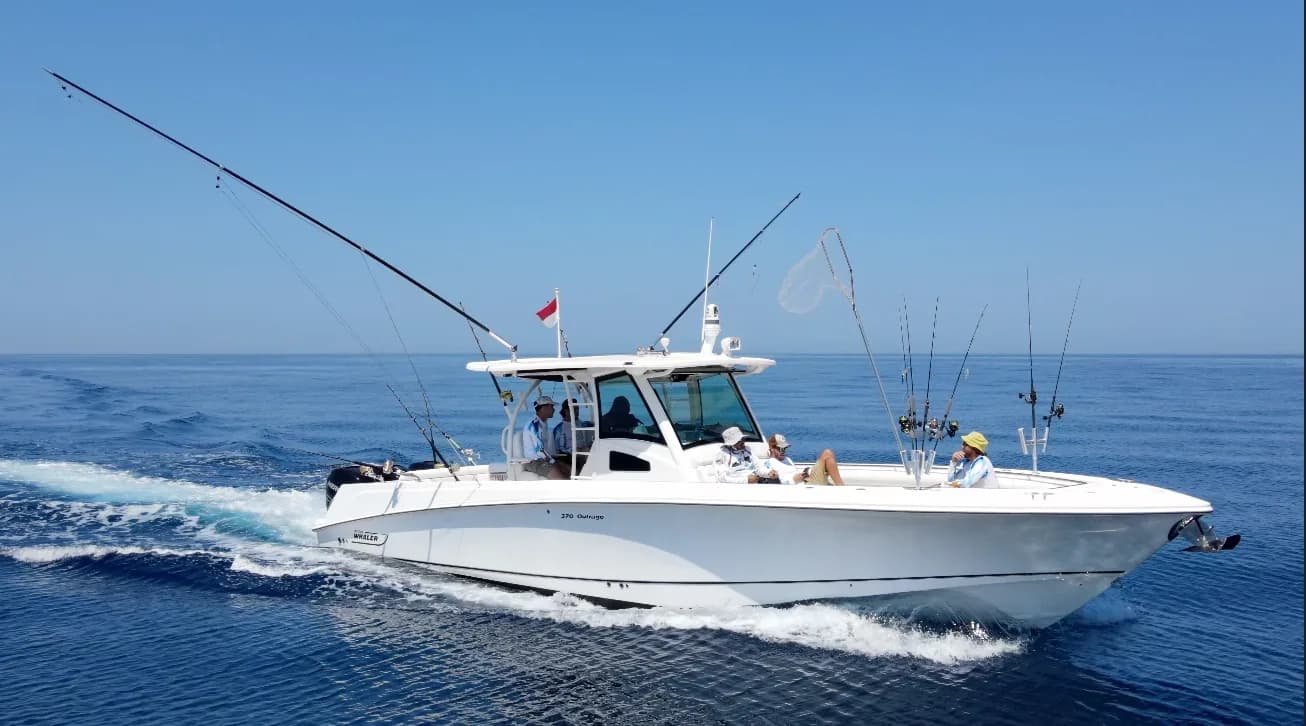 BOSTON WHALER 370 – Yacht 11.28 m – Image n°1