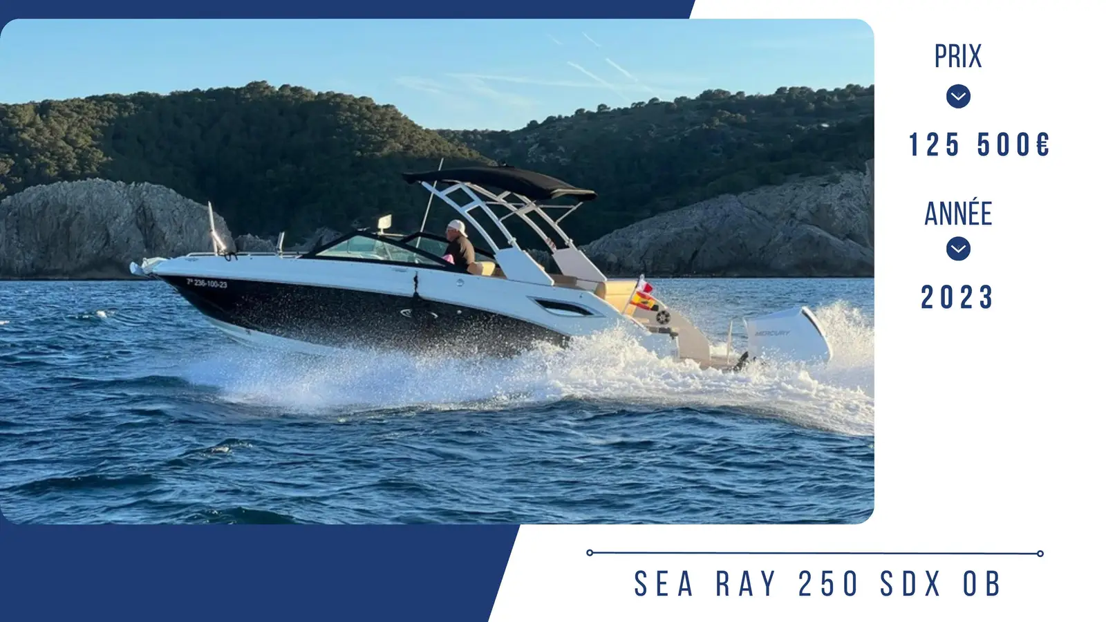 SEA RAY SEA RAY – Yacht 8.38 m – Image n°1