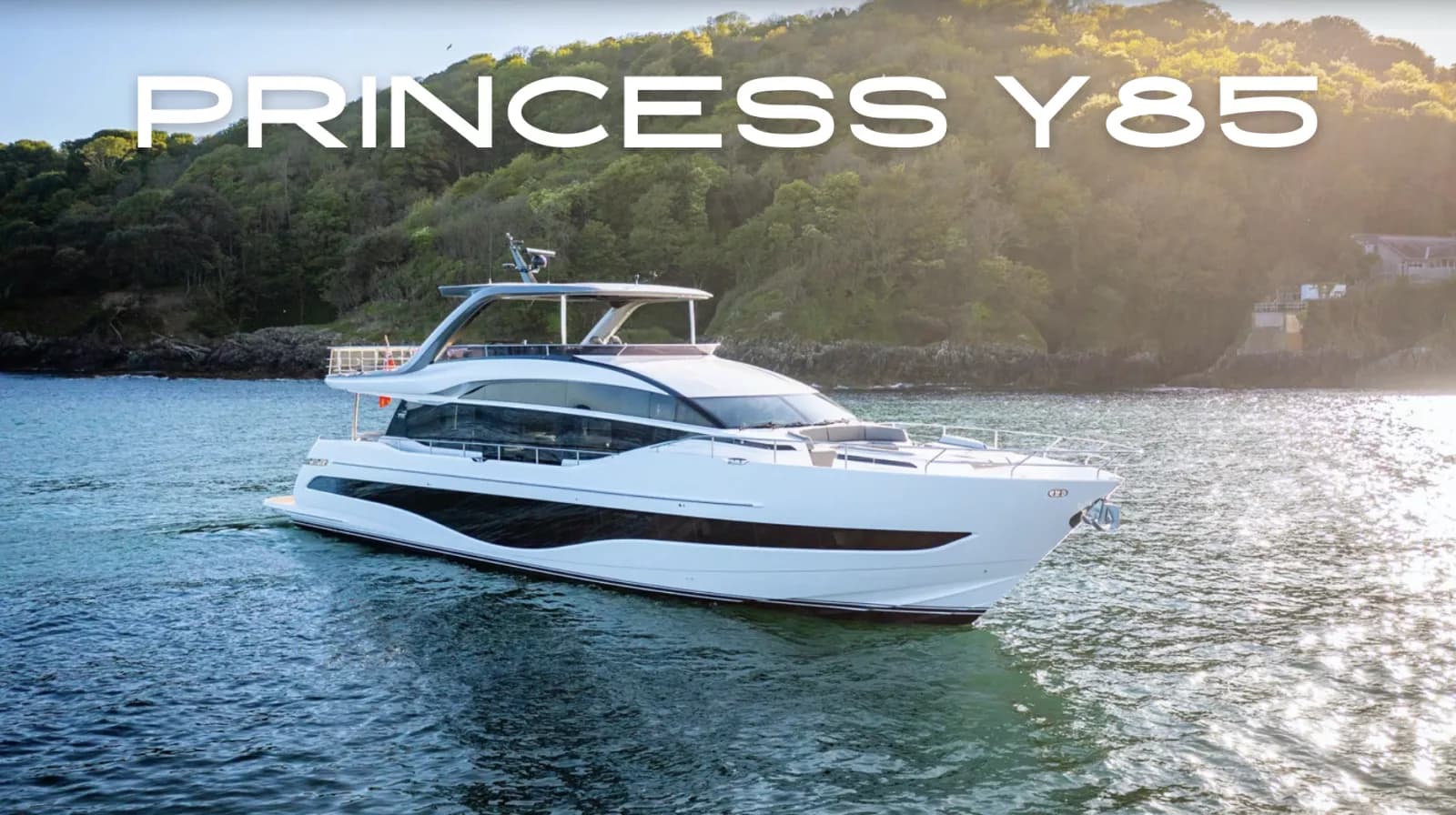 PRINCESS Y85 - Image n°1